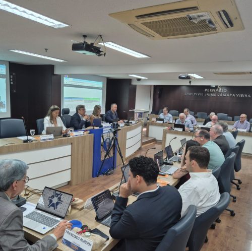 4°-Reuniao-Ordinaria-do-CDEN-Colegio-das-Entidades-Nacionais-Fortaleza-Crea-CE-3