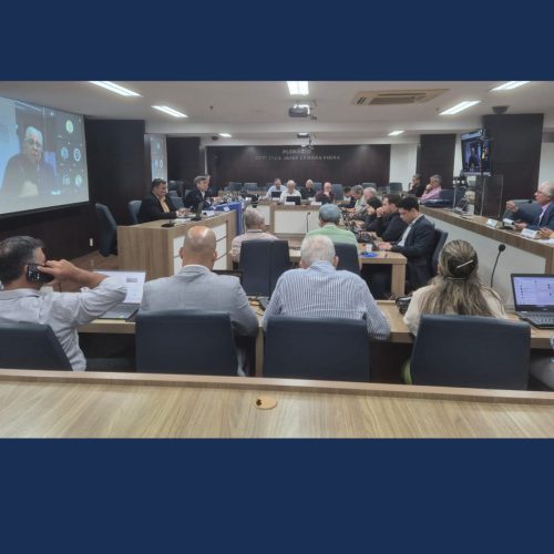 4°-Reuniao-Ordinaria-do-CDEN-Colegio-das-Entidades-Nacionais-Fortaleza-Crea-CE-4