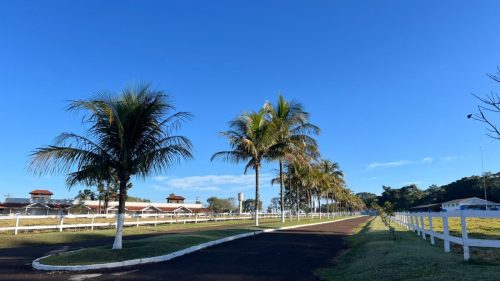 Reuniao-Unacop-19-07-25-23