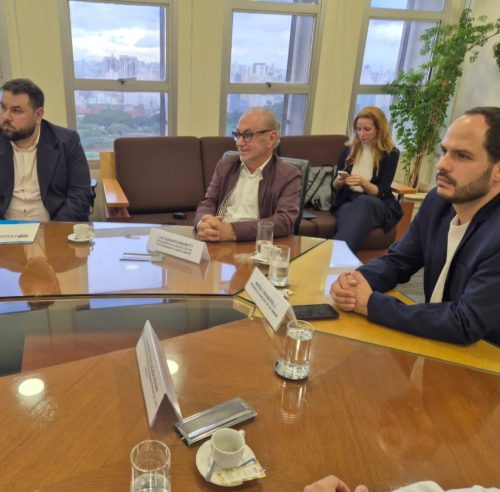 Reuniao-com-o-Secretario-de-Desenvolvimento-Urbano-14-04-2025-3