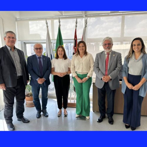 reuniao-abrava-07-05-25-1