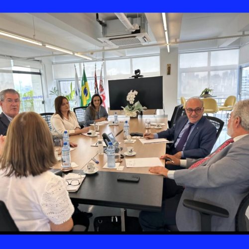 reuniao-abrava-07-05-25-3